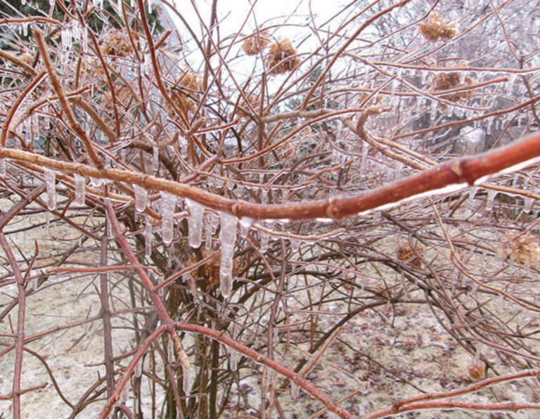 Beware the Ides of March blizzard