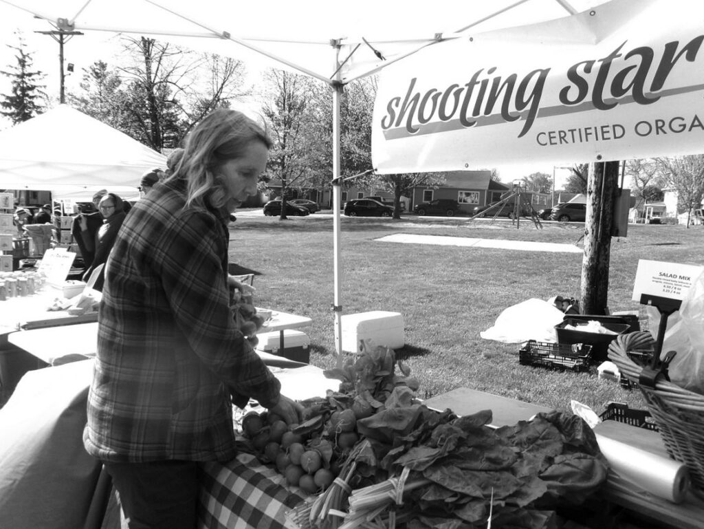 Jenny Bonde of Shooting Star Farm replenishes radishes and other spring produce at the first Farmers Market of the season. The market continues Saturday mornings from 8:30 to 11 a.m. at Water Tower Park through October.