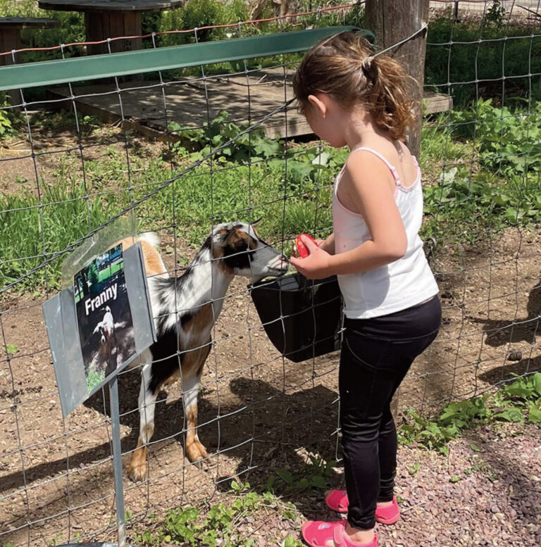 Nova Ritschard of Mineral Point visited the goats while shopping at Aspen Ridge Home & Garden Saturday.