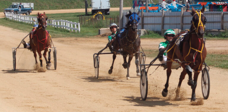 Harness Racing