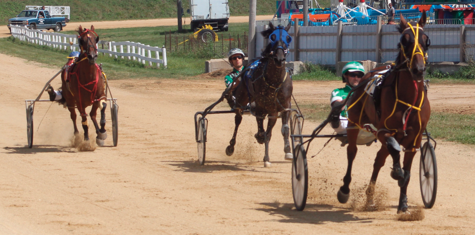 Harness Racing